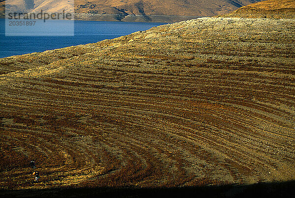 Das San Luis Reservoir  Kalifornien  mit Badewannenringen aufgrund des Niedrigwassers im November 2001.