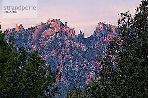 Blick durch die Bäume auf den Berg Montserrat.