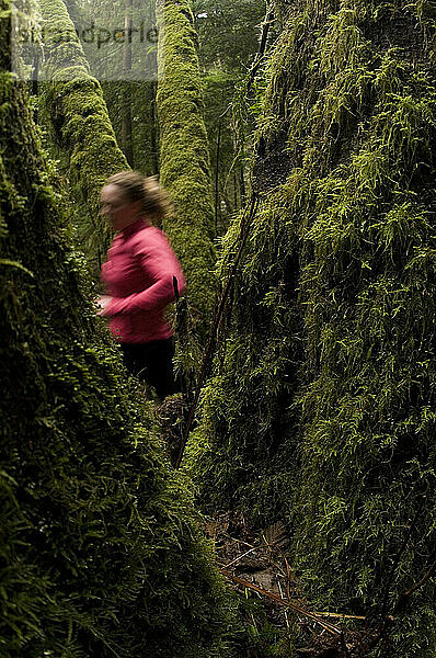 Trailrunning. Seymour Mountain  North Vancouver  British Columbia  Kanada