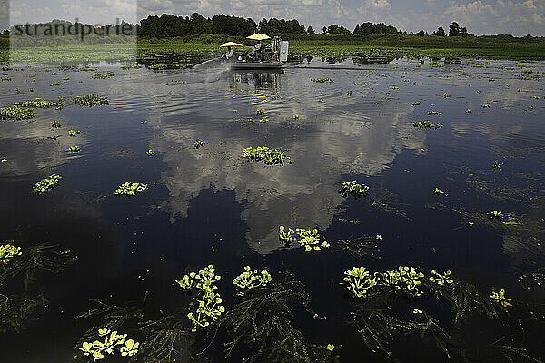 Mitarbeiter des South Florida Water Management District versprühen ein Herbizid  um die invasive Wasserhyazinthe am Lake Jatchineha  Florida  zu bekämpfen. Auch im Wasser befindet sich die invasive Hyd