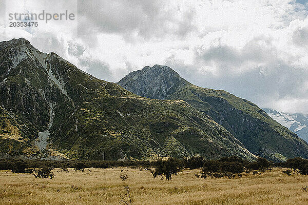 Neuseeland schöne Landwirtschaft Hintergrund trockenes Gras hohe Berge