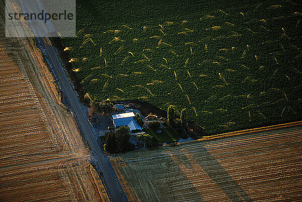 Luftaufnahme der Sprinklerbewässerung im Bewässerungsbezirk Klamath Basin  Tule Lake  Lower Klamath Lake an der Grenze zwischen Oregon und Kalifornien.