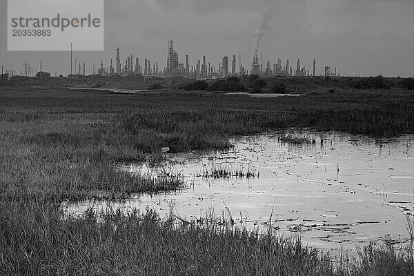 Oil refinery effects in Corpus Christi  Texas.