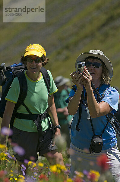 Sommertrekking in der Nähe der Ruby Creek Lodge. Walhallas. New Denver  British Columbia  Kanada