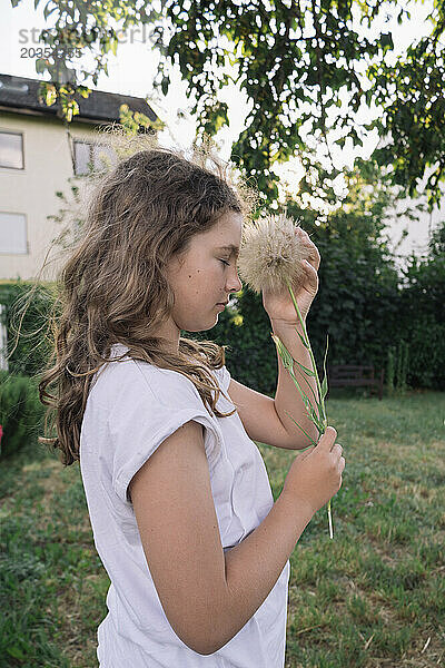 Teenager-Mädchen mit einer Löwenzahnblume in ihren Händen im Sommergarten