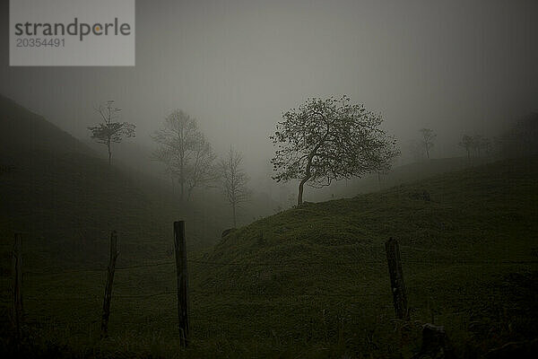 Nebel bedeckt die Landschaft in der Nähe von Tziscao  Chiapas  Mexiko