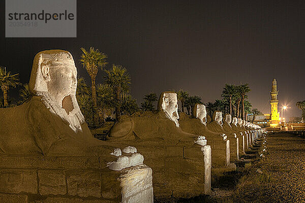 Allee der Sphinxen im Luxor-Tempel  Ägypten