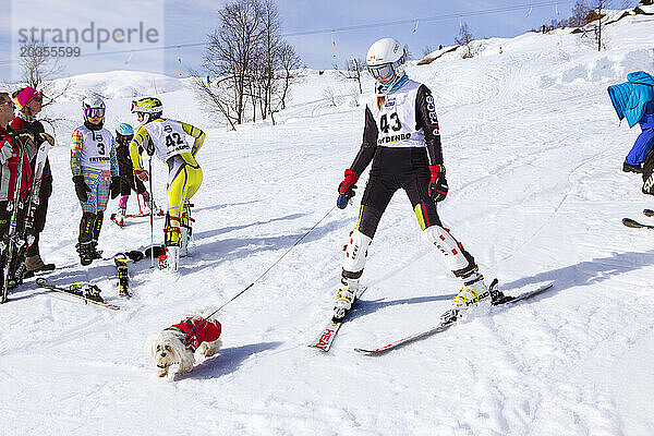 Junge Skifahrerin lässt den Hund auf der Skipiste von Myrkdalen  Norwegen  draußen