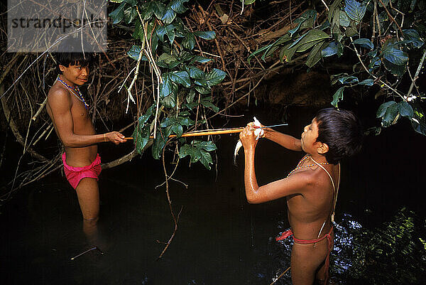 Yanomami-Indianer angeln in einem Bach in der Nähe des Dorfes Irokai-teri  Südamerika