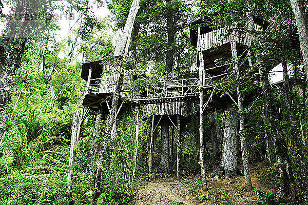 Öko-Hütten in Bäumen in einem Resort im Futaleufu-Flussbecken  Patagonien  Chile.