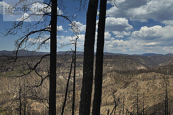 Landschaft mit Las Conchas Canyon und Santa Fe National Forest