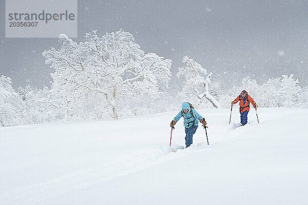 Zwei Backcountry-Skifahrer im Tiefschnee