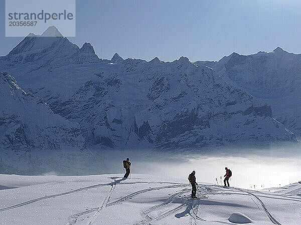 Drei Skifahrer genießen die Aussicht in den Bergen des Schweizer Berner Oberlandes.