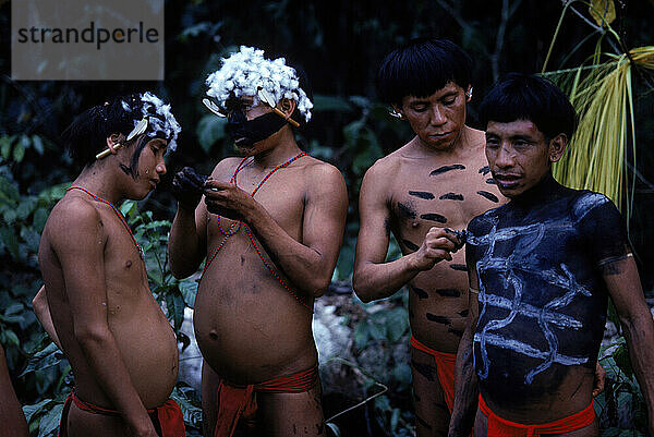 Männer der Yanomami-Indianer bemalen ihre Körper und schmücken ihre Köpfe mit Geierdaunen  um sich auf ein Festmahl vorzubereiten. Im Amazonaswald im Süden Venezuelas.