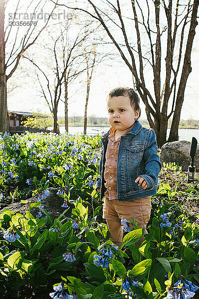 Kleinkind steht in der Frühlingssonne auf einem Blumenfeld mit Bäumen