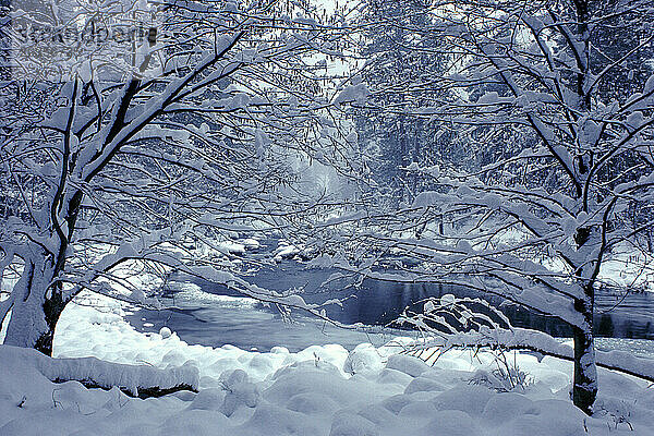 Winterszene.