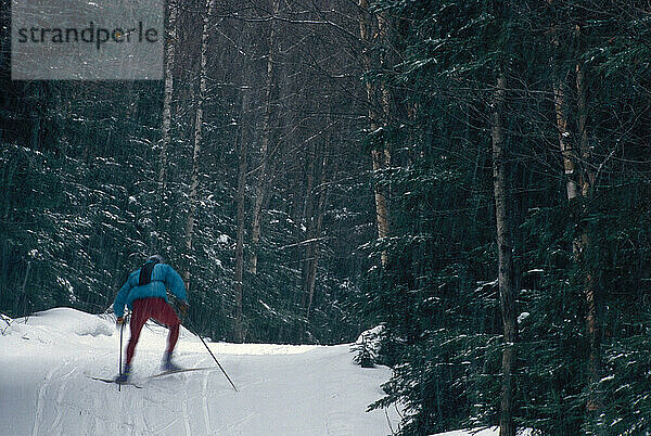 Langlaufen in Bretton Woods.