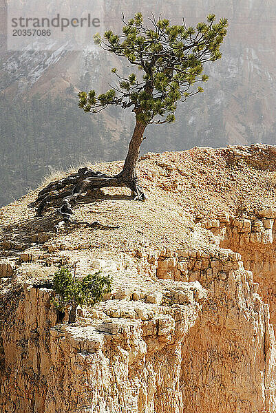 Hoodoos im Bryce-Canyon-Nationalpark  Utah.