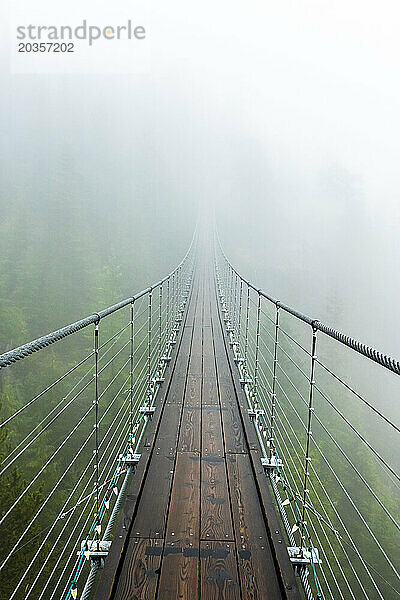 Eine Hängebrücke erstreckt sich an einem regnerischen Herbsttag in Squamish  British Columbia  in den Nebel.
