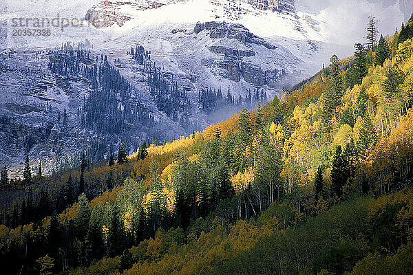 Blick auf Herbstlaub und frühen Schneefall hoch oben in den Rocky Mountains in der Nähe von Aspen