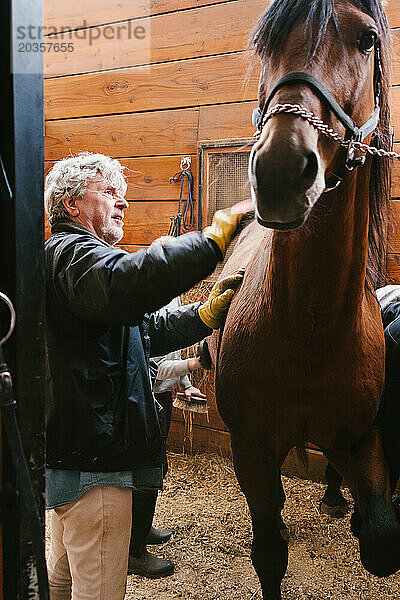 Mann und Kinder bürsten schönes braunes Pferd im Stall