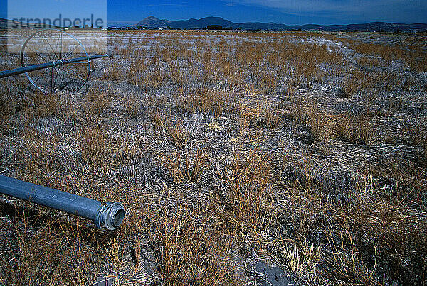 Eine Farm im Klamath Basin  Oregon  die 2001 kein Wasser hatte  sodass der Bauer keine Feldfrüchte anbauen konnte. Das Wasser wurde aufgrund einer bundesstaatlichen Anordnung  das Wasser im See zu halten  abgesperrt