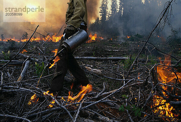 Kontrollierter Brand im Okanogan National Forest  WA.