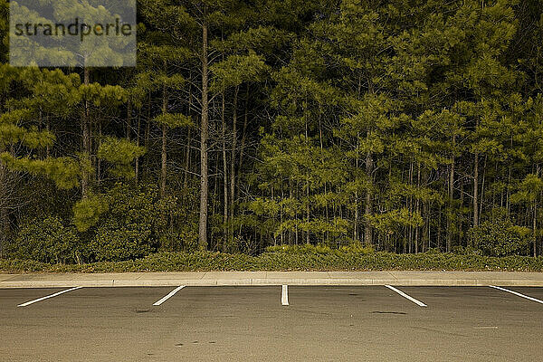 Kiefern und ein Parkplatz in der Nacht in Lithonia  Georgia.