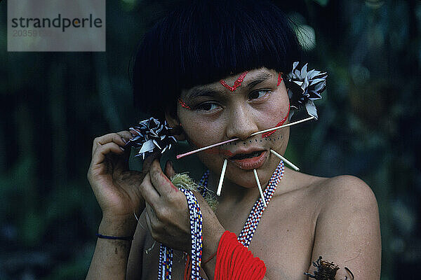 Junge Yanomami-Indianerin mit Stöcken in der Nase und um den Mund schmückt ihre Ohren mit Federn  um sich auf ein Festmahl vorzubereiten. Im Amazonaswald im Süden Venezuelas.