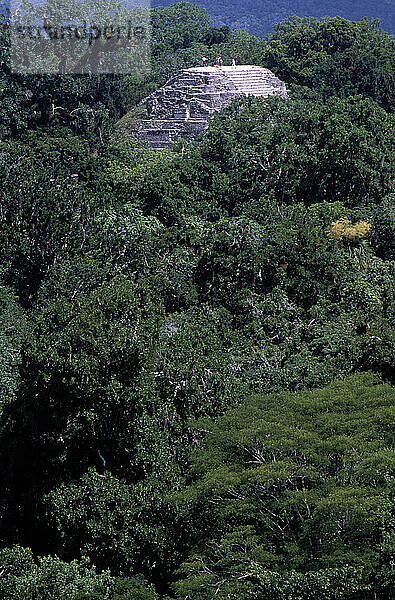 Antike Stadt Tikal  Guatemala.