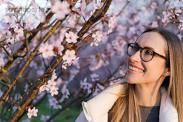 Fröhliche Frau mit Brille genießt im Frühling Kirschblüten im Park