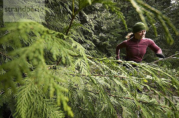 Trailrunning im Regionalpark Buntzensee. Port Moody  British Columbia  Kanada