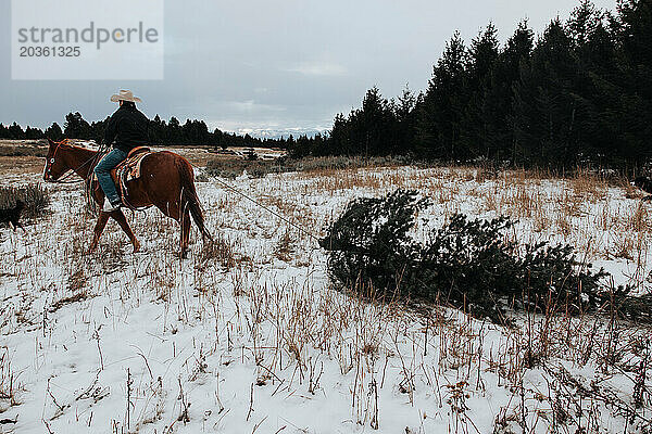 Cowboy reitet auf Pferd und zieht Weihnachtsbaum in verschneitem Abenteuer