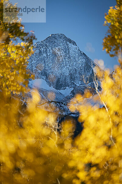 Idyllische Aufnahme des Capitol Peak  gesehen durch herbstliche Bäume im Morgengrauen