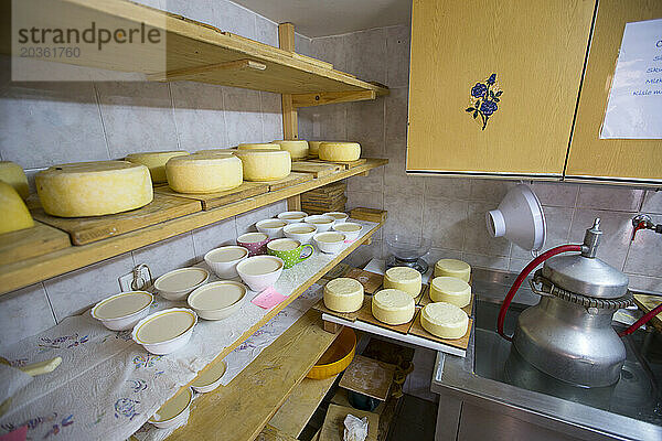 Käse trocknen auf dem Bergbauernhof in Uskovnica auf der Hochebene Pokljuka in den Julischen Alpen  Slowenien