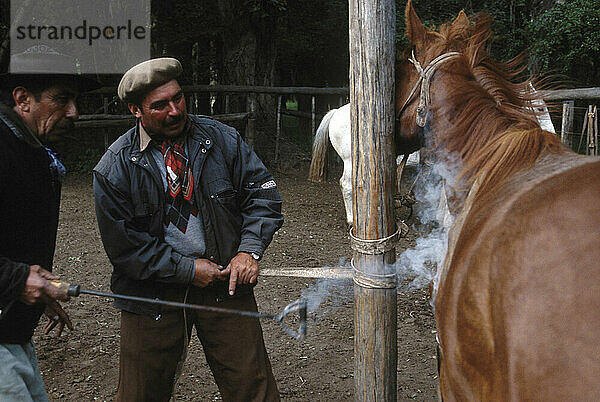 Gauchos in Patagonien  Argentinien