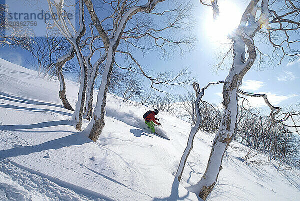 Ein Skifahrer fährt einen Berghang mit Pulverschnee im Skigebiet von Niseko  Japan  hinab.