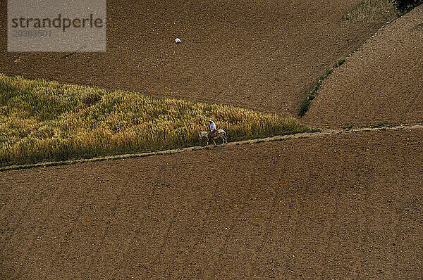 Bauernfelder  Westjordanland.