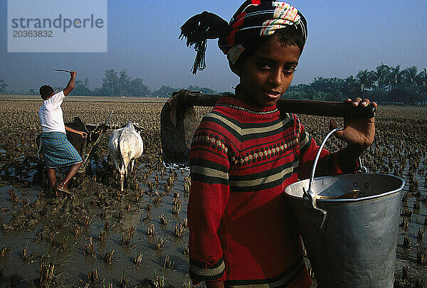 Junge im roten Pullover  Mofajil Haq 10 . Pater Anarali im Hintergrund Reisfeld. Reis ist die Haupternte der Landwirte in Westbengalen. Sie kultivieren viermal im Jahr Reisfelder. Landwirte dabei