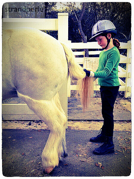 Junges Mädchen kämmt den Schwanz ihres Ponys vor ihrer Reitstunde - Fair Oaks  Kalifornien