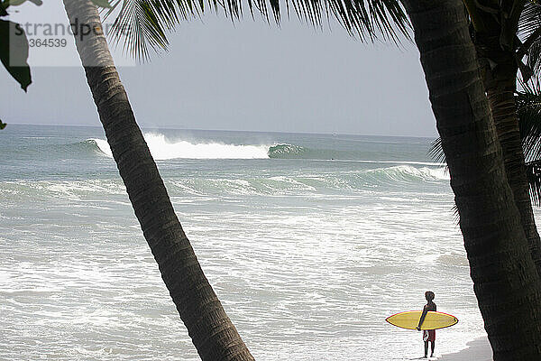 Surfer beobachten die Brandung unter Palmen in Costa Rica