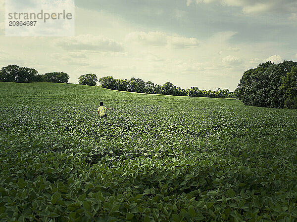 Ein Junge geht durch ein Feld in Minnesota.