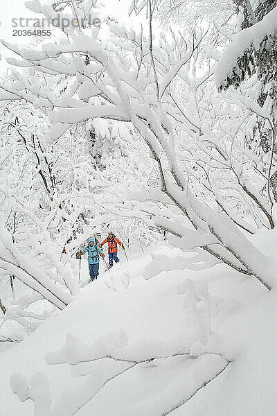 Zwei Tourengeher im Tiefschnee