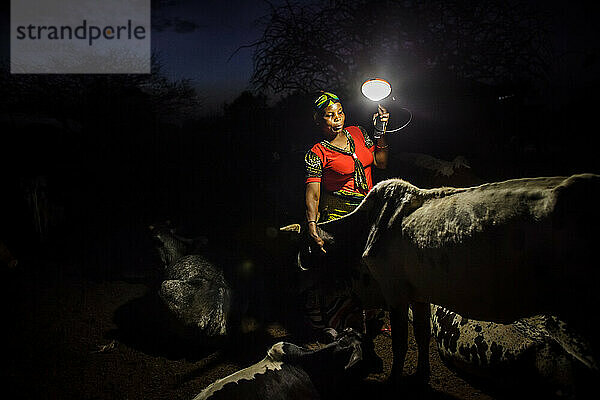 Eine tansanische Frau kontrolliert abends die Kühe