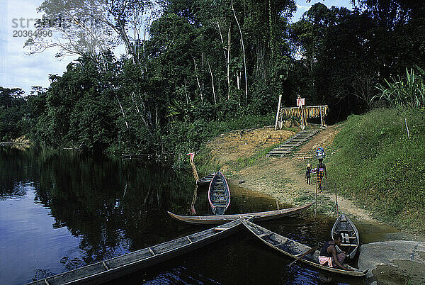 Maroon People  Surinam