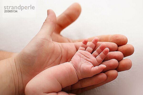 Erwachsene Hand wiegt sanft eine kleine Babyhand
