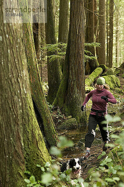 Trailrunning im Regionalpark Buntzensee. Port Moody  British Columbia  Kanada