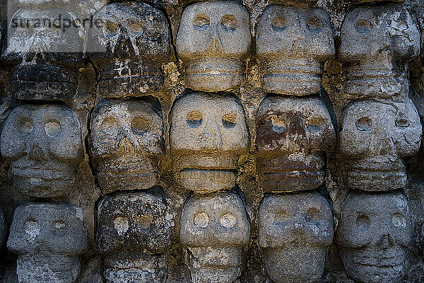 Tzompantli-Stein  Templo Mayor  Mexiko-Stadt  Mexiko