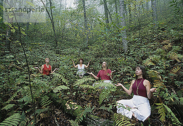 Eine Gruppe von Menschen praktiziert Yoga im Wald  North Carolina  USA.