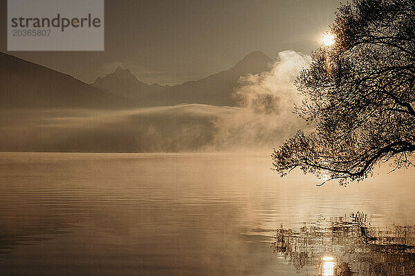 Silhouette eines Baumes am See bei goldenem Sonnenaufgang mit Bergen